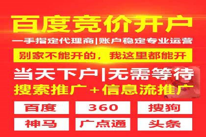 SEM优化师如何提升广告点击率——以某电商平台的成功案例为例